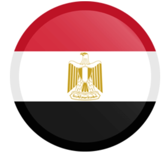 Dr.Yasmin Ahmed Abou Saif