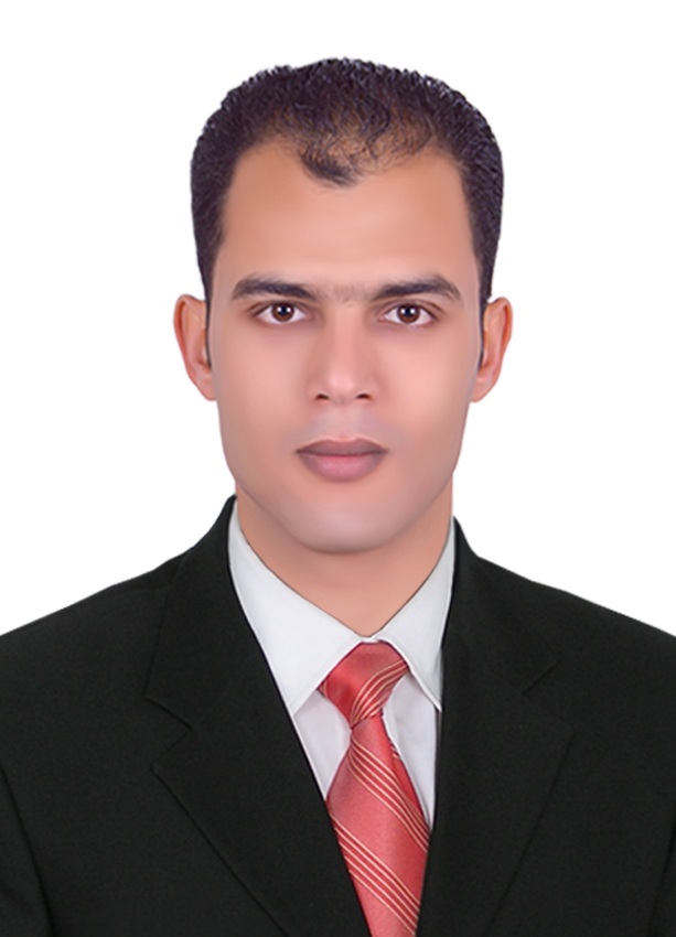 د. محمد إسماعيل عبدالغفار فايد